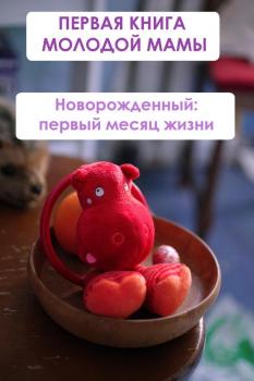 Читать Новорождённый: первый месяц жизни - Илья Мельников