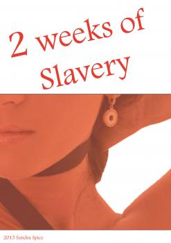 Читать 2 weeks of slavery - Sandra Spice