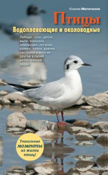 Читать Птицы. Водоплавающие и околоводные - Ксения Митителло