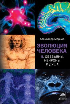 Читать Обезьяны, нейроны и душа - Александр Марков