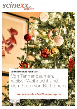Читать Von Tannenbäumen, weißer Weihnacht und dem Stern von Bethlehem - Nadja Podbregar