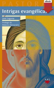 Читать Intrigas evangélicas - José Laguna Matute
