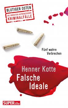 Читать Falsche Ideale - Henner Kotte