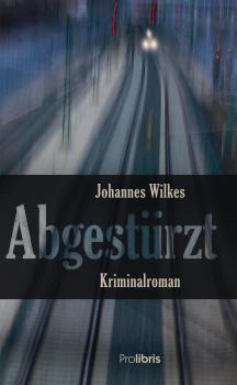 Читать Abgestürzt - Johannes Wilkes