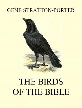Читать The Birds of the Bible - Stratton-Porter Gene