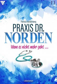 Читать Praxis Dr. Norden 11 – Arztroman - Patricia Vandenberg