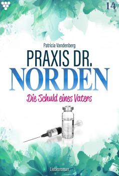 Читать Praxis Dr. Norden 14 – Arztroman - Patricia Vandenberg