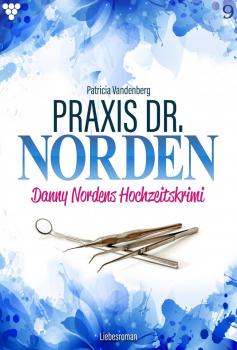 Читать Praxis Dr. Norden 9 – Arztroman - Patricia Vandenberg