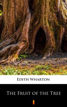 Читать The Fruit of the Tree - Edith Wharton