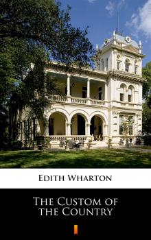 Читать The Custom of the Country - Edith Wharton