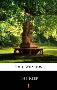Читать The Reef - Edith Wharton