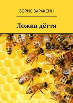 Читать Ложка дёгтя - Борис Вараксин