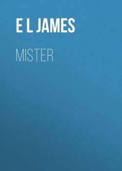 Читать Mister - E L James