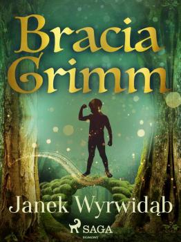 Читать Janek Wyrwidąb - Bracia Grimm
