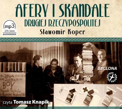 Читать Afery i skandale Drugiej Rzeczypospolitej - Sławomir Koper