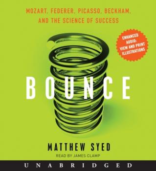 Читать Bounce - Matthew  Syed