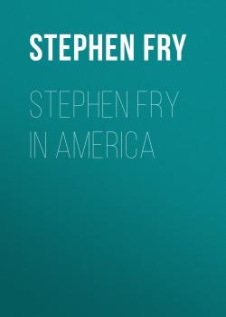 Читать Stephen Fry In America - Stephen  Fry