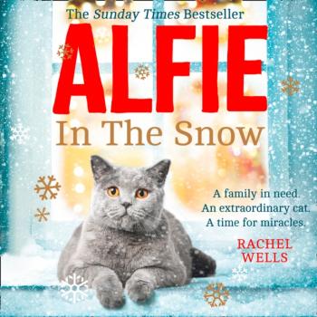 Читать Alfie in the Snow - Rachel  Wells