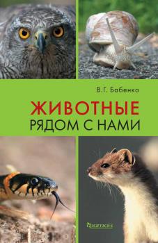 Читать Животные рядом с нами - В. Г. Бабенко