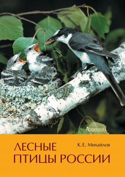 Читать Лесные птицы России - Константин Михайлов