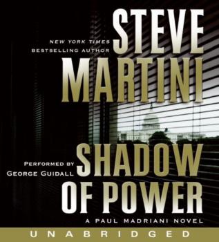 Читать Shadow of Power - Steve Martini