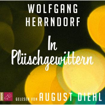 Читать In Plüschgewittern - Wolfgang Herrndorf
