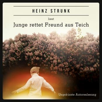 Читать Junge rettet Freund aus Teich (ungekürzt) - Heinz Strunk