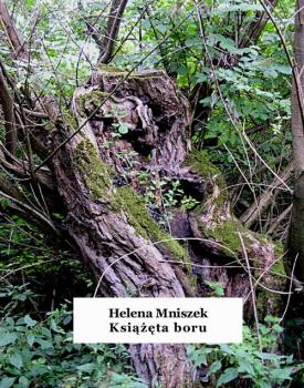 Читать Książęta boru - Helena Mniszek