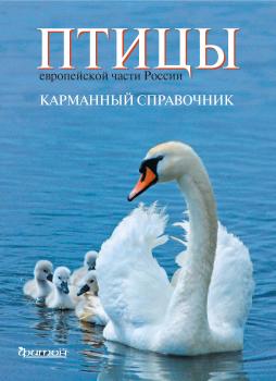 Читать Птицы европейской части России - Коллектив авторов