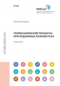 Читать Геомеханические процессы при подземных разработках - Юлия Несмеянова