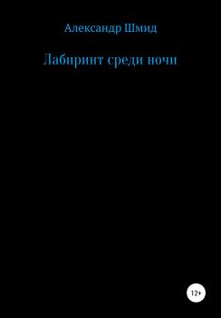 Читать Лабиринт среди ночи - Александр Витальевич Шмид