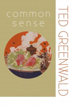 Читать Common Sense - Ted Greenwald