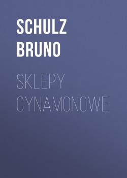 Читать Sklepy cynamonowe - Bruno  Schulz