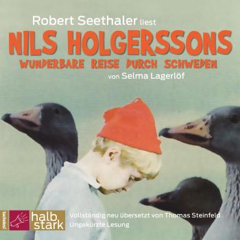 Читать Nils Holgerssons wunderbare Reise durch Schweden (Ungekürzt) - Selma Lagerlöf