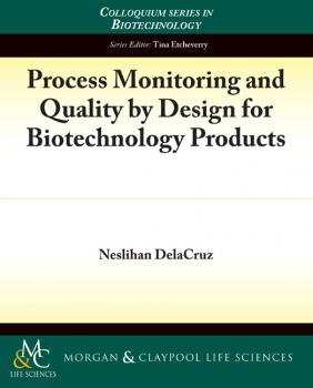 Читать Process Monitoring and Quality by Design for Biotechnology Products - Neslihan Delacruz