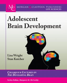 Читать Adolescent Brain Development - Lisa Wright