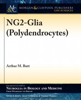 Читать NG2-Glia (Polydendrocytes) - Arthur M. Butt