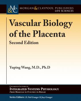 Читать Vascular Biology of the Placenta - Yuping Wang