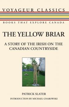 Читать The Yellow Briar - Patrick Slater