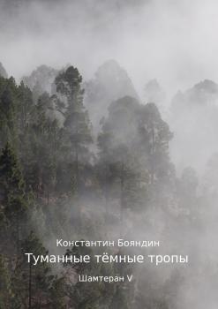 Читать Туманные тёмные тропы. Шамтеран V - Константин Бояндин
