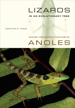 Читать Lizards in an Evolutionary Tree - Jonathan Losos