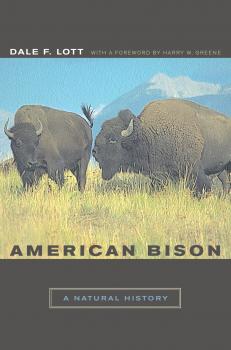 Читать American Bison - Dale F. Lott