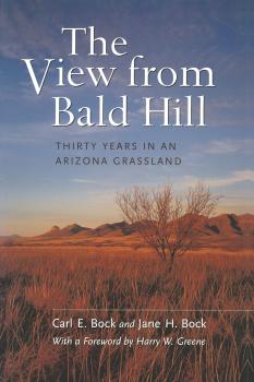 Читать The View from Bald Hill - Carl E. Bock