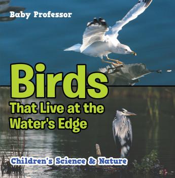 Читать Birds That Live at the Water's Edge | Children's Science & Nature - Baby Professor