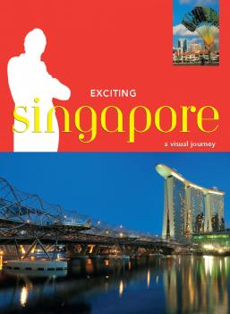 Читать Exciting Singapore - David Blocksidge