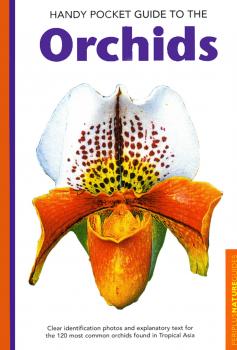Читать Handy Pocket Guide to Orchids - David P. Banks