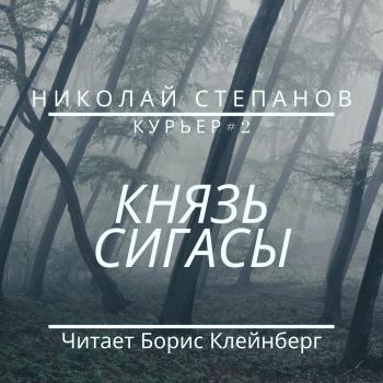 Читать Князь Сигасы - Николай Степанов