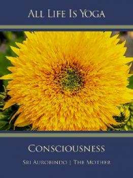 Читать All Life Is Yoga: Consciousness - Sri Aurobindo