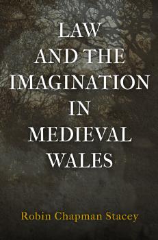 Читать Law and the Imagination in Medieval Wales - Robin Chapman Stacey