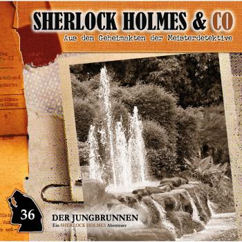 Читать Sherlock Holmes & Co, Folge 36: Der Jungbrunnen, Episode 1 - Markus Topf